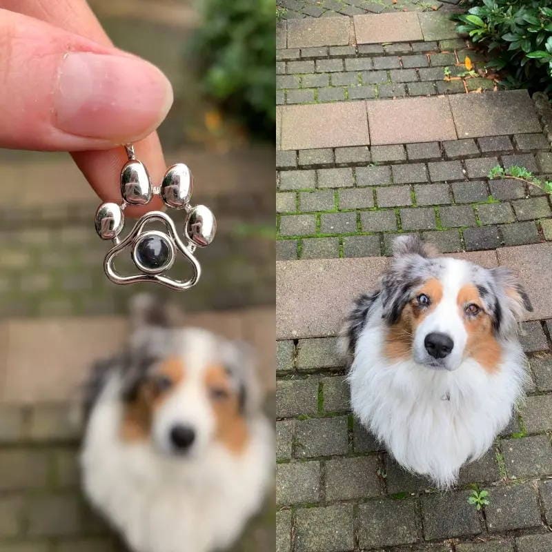 Personalized Photo Necklace – My Eternal Pet