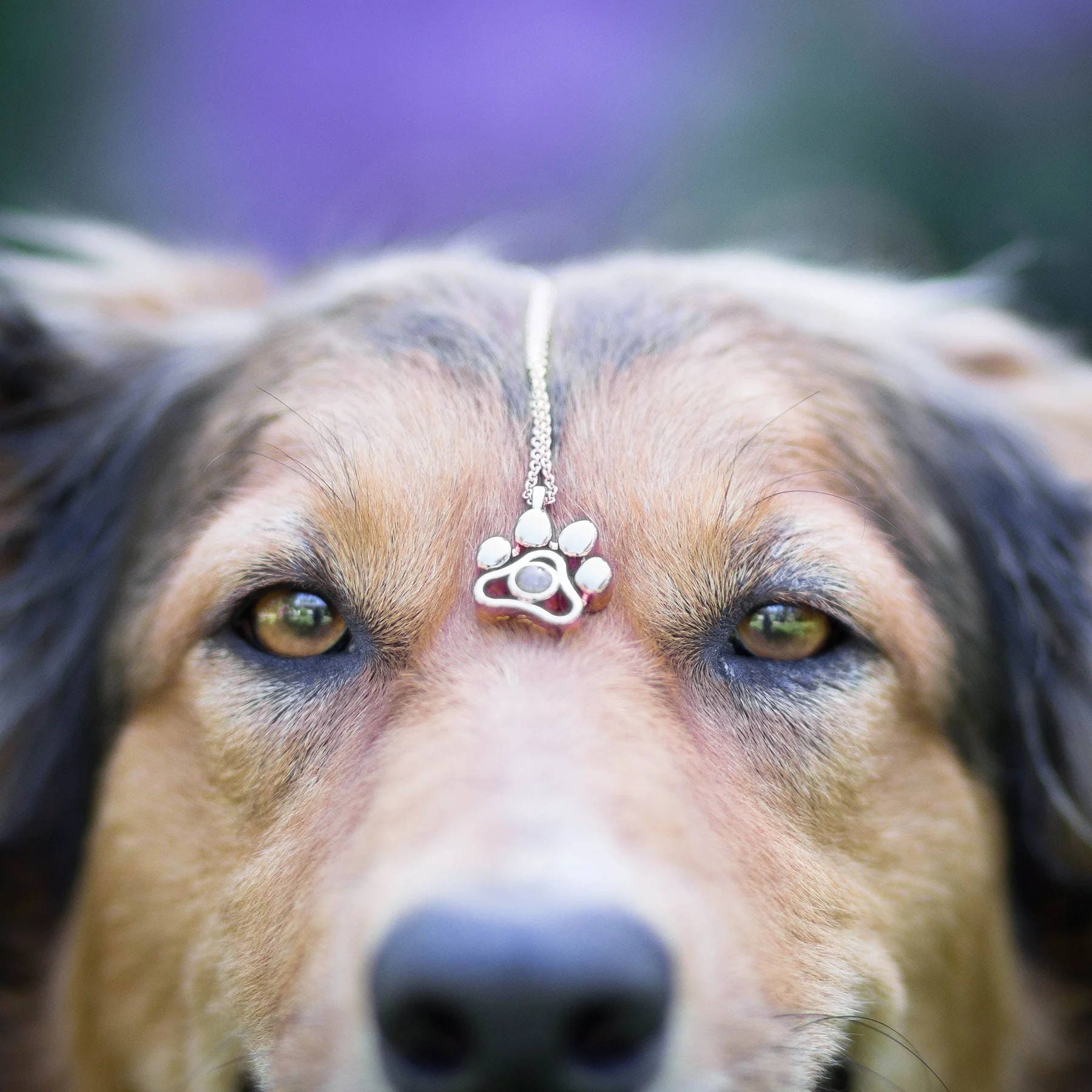 Personalized Photo Necklace – My Eternal Pet